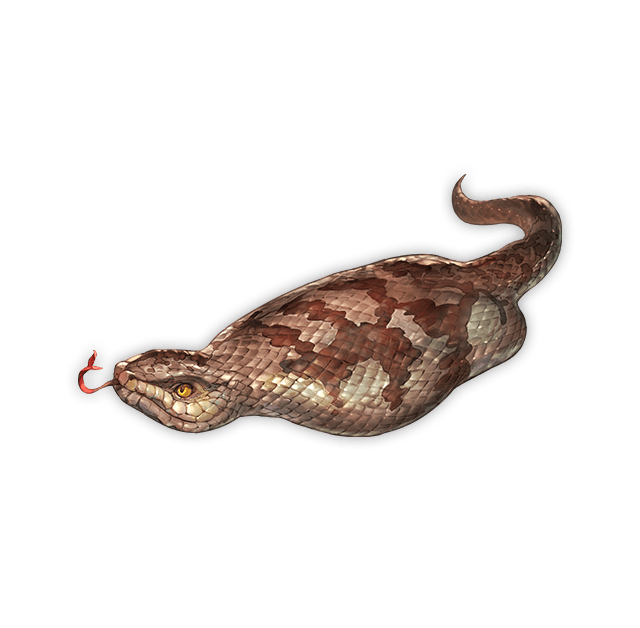 Цутиноко реальное фото. Тсучиноко змея. Криптид Цутиноко. Цутиноко змея. Тсучиноко существо.